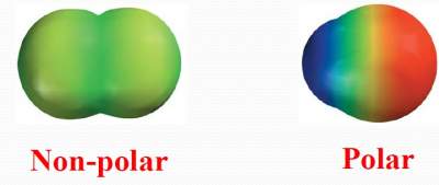 polar-nonpolar