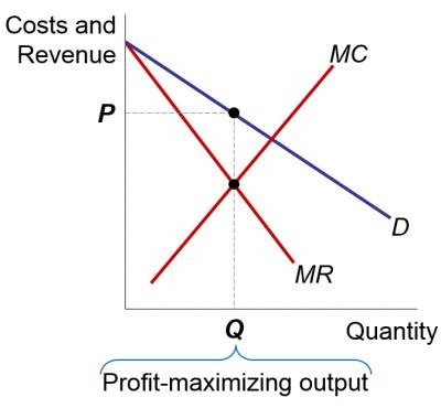 profit-maximizing.jpg